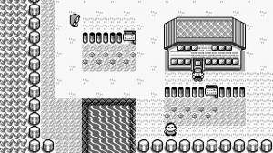 Pokemon Red screenshots